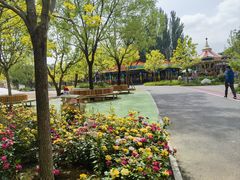 -大望京公园