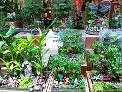 -辣可可·小炒黄牛肉(望京凯德MALL店)