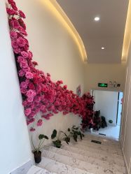 -海涛医疗美容·面部抗衰·注射美鼻