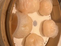 金悦虾饺皇-金悦轩海鲜酒家(拱北店)