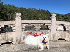 -九鲤湖风景区