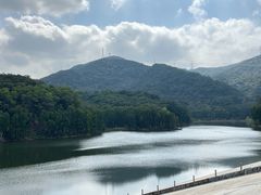 -阳台山森林公园