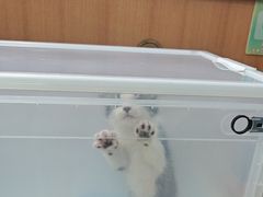 -联合动物医院(光谷诊疗中心)
