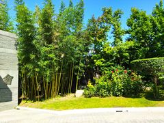 -春晖园度假酒店温泉