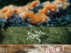 -ARC'TERYX始祖鸟(奕欧莱奥特莱斯店)