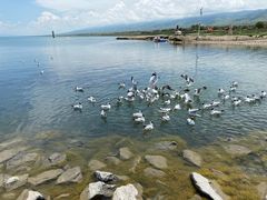 -青海湖国家重点风景名胜区