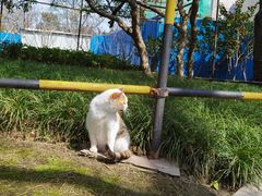 -龙华烈士纪念馆-停车场