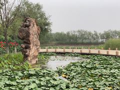 -绿堤公园