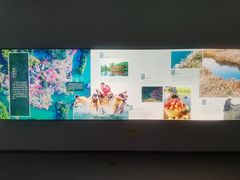 -中国湿地博物馆