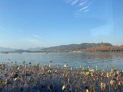 -湖畔居茶楼(湖滨店)