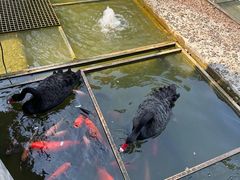 -南宁荔园维景国际酒店·荔园中餐厅