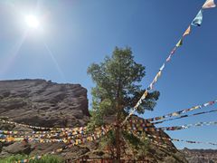 -天山神秘大峡谷