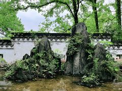 -南山植物园
