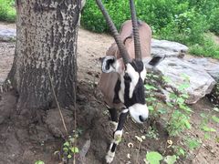 -辛玛王国游乐园