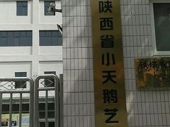 -陕西省小天鹅艺术团