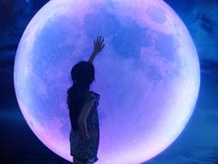 -天津梵高星空艺术馆(天河城旗舰店)