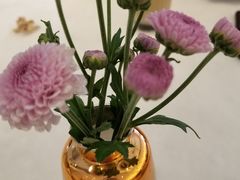-WOKKA by艮上(中海环宇荟店)