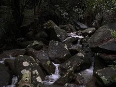 -呀诺达热带雨林