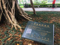 -广州中山纪念堂