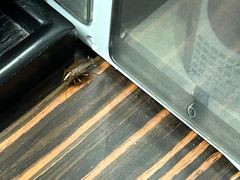 -丽市酒店(苏州平江观前街店)