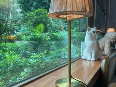 -咖法森林·咖啡  酒吧(天河店)