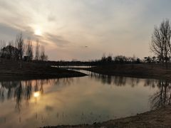 -东郊湿地公园