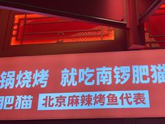 -南锣肥猫·麻辣烤鱼·16年现烤现卖(财富购物中心店)