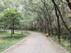 -龙门涧景区
