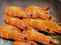 -新石器烤肉(南站店)