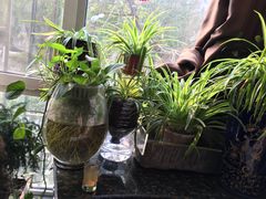 -孙三拨按摩(大纺店)