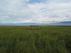 -青海湖国家重点风景名胜区