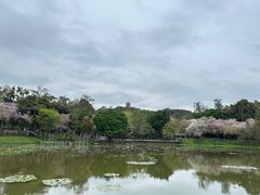-畔山酒店中餐厅