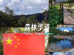 -四明山国家森林公园