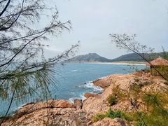 -广东惠东海龟国家级自然保护区