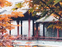 -龙潭水乡