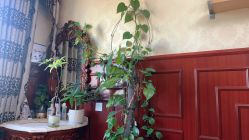 -南京医科大学友谊整形外科医院