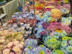 -溪岸路花鸟市场