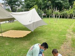 -盘龙城国家考古遗址公园