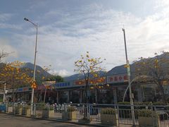 -杨梅坑