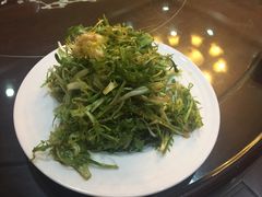 -新龙源大酒店(热河路店)