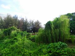 景点-龙环葡韵住宅式博物馆