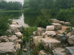 -大兴滨河森林公园