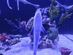 -厦门海底世界