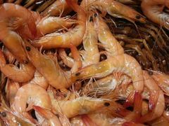 -西藏饭店·亚克·食光自助餐厅(文殊院店)