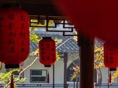 -上海醉白池公园