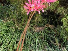 -上海市龙华烈士陵园