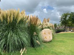 -上海长兴岛郊野公园