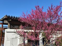 -蠡湖大桥公园