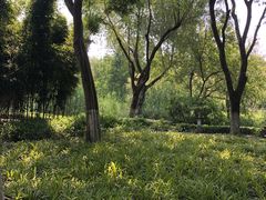 -青枫公园