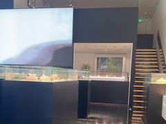 -BLACKSWAN黑天鹅(环球店)